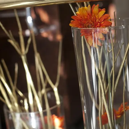Antwerp Inn Hotel Amberes